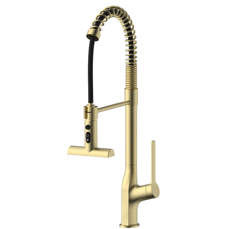 Novara Flexi Pull Out Kitchen Mixer-Brushed Gold
