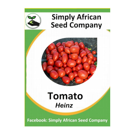 Tomato Heinz 30's
