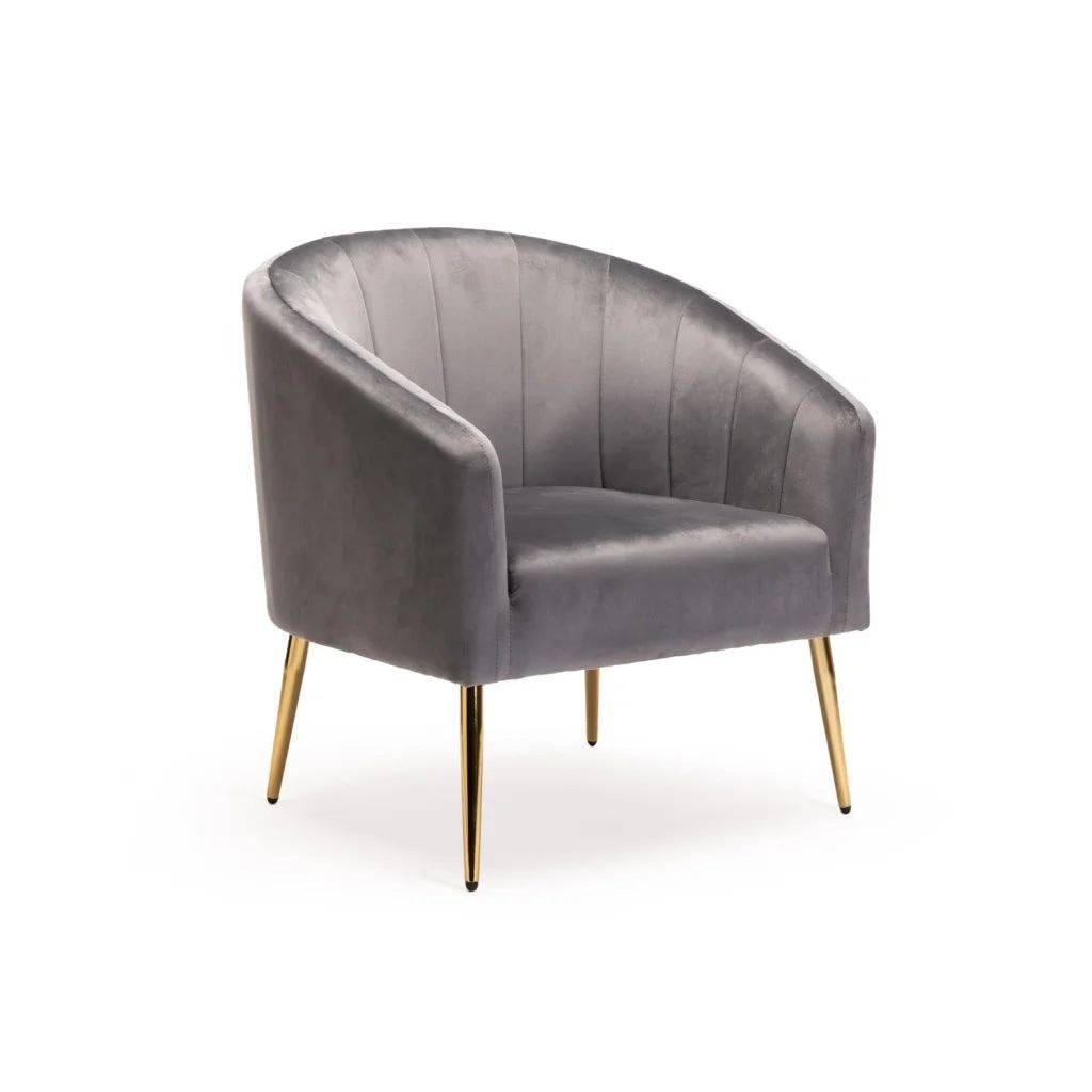 Vividitto - Abhilasha Velvet Chair - Gold Leg Grey