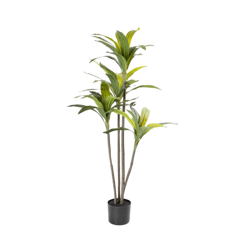 Dracena Fragrans Plant in Pot - 120cm(H) - Artificial