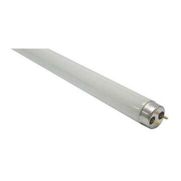 26mm T8 Fluorescent Lamp 36W 4Ft -Daylight 6500K865