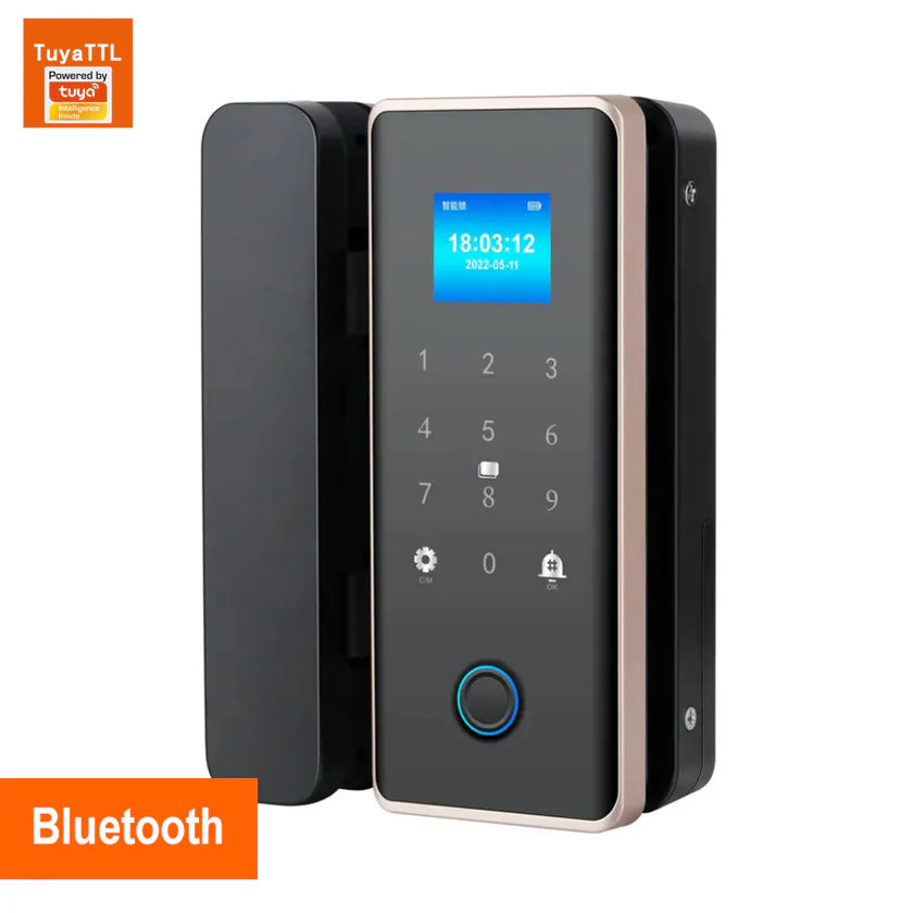 Biometric Smart Door Lock G010