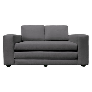 Pull-Out Sleeper Couch 2 Seater Sofa
