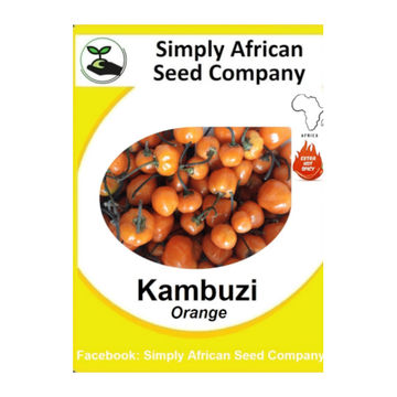 Kambuzi 30's