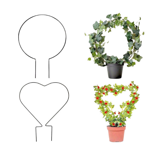 Heart and Circle Shaped Plant Supports