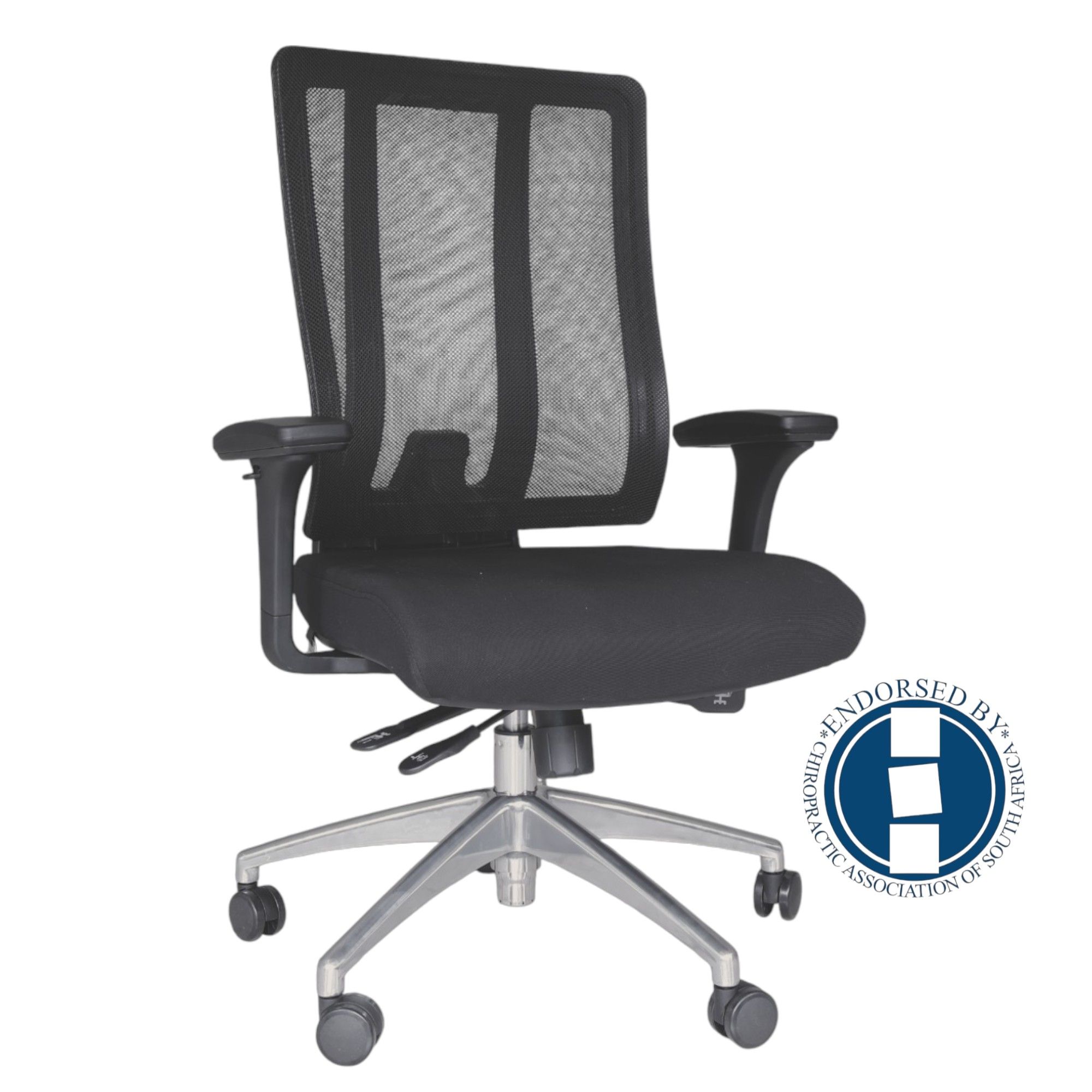 The TOCC Human Ergo Medium Back - Black