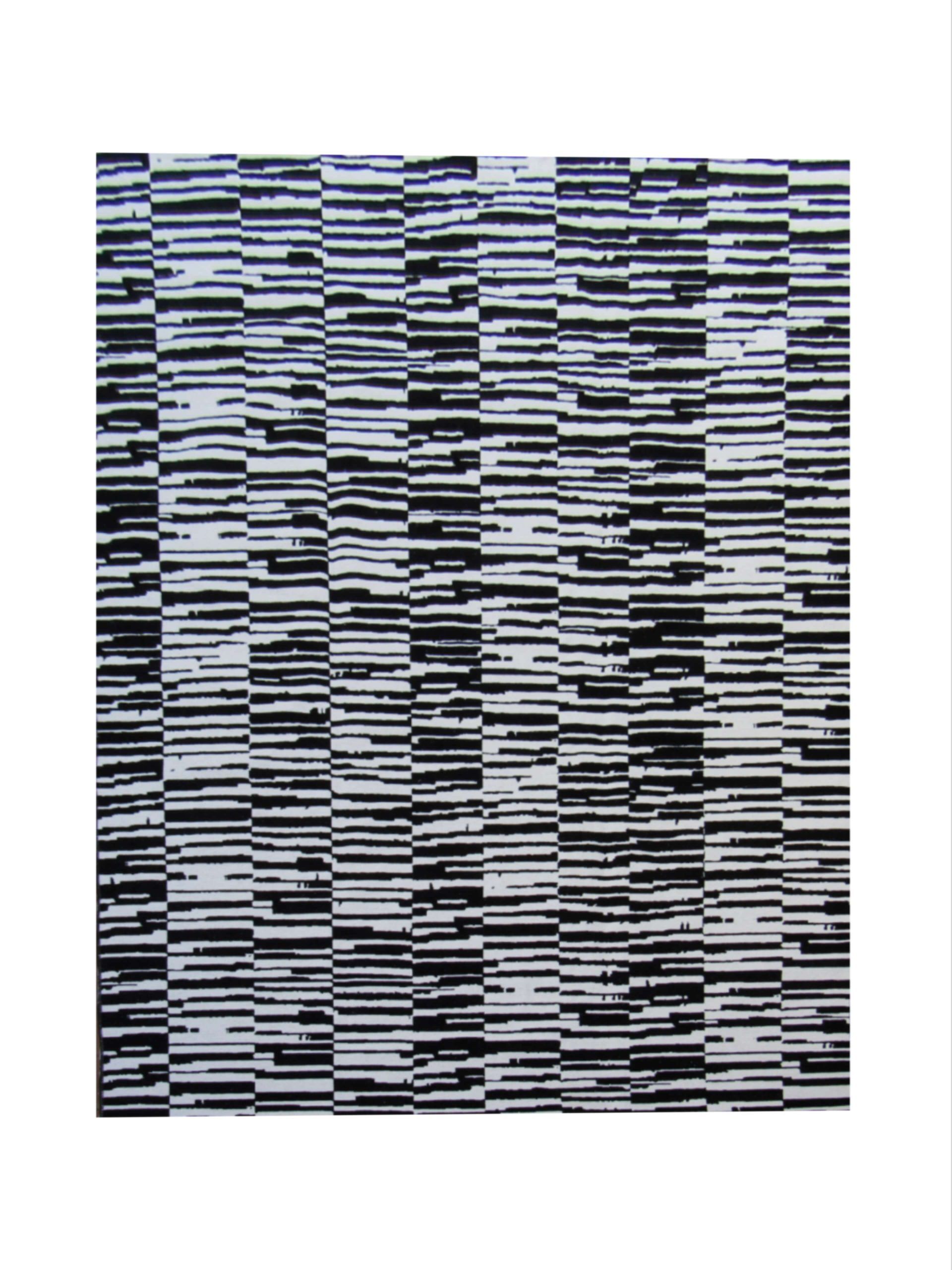 BK Carpets & Rugs - Indoor Modern Chenille Area Rug - 2,3m x 3,4m -  Black & White