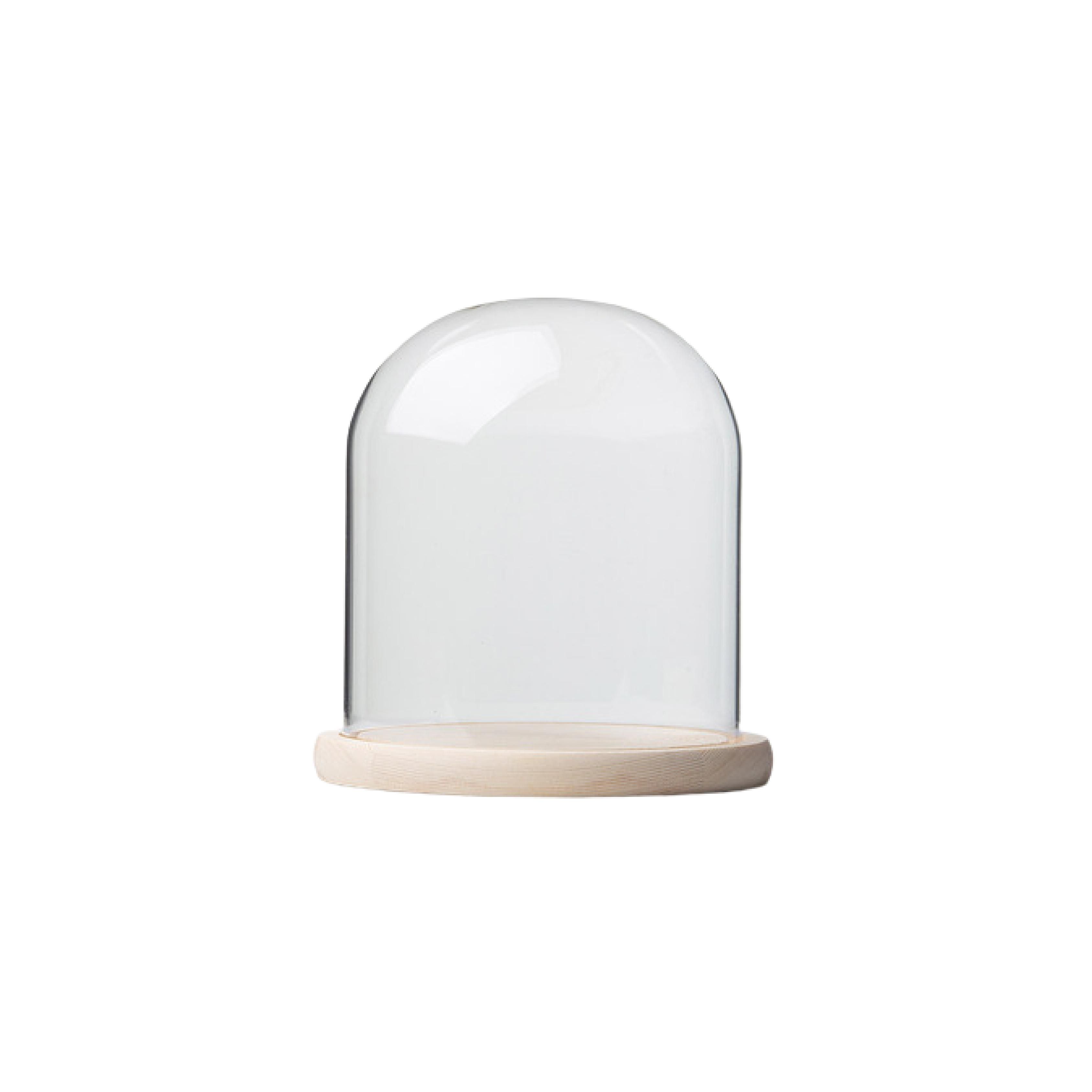 Glass Dome with Pine Base 20x20cm