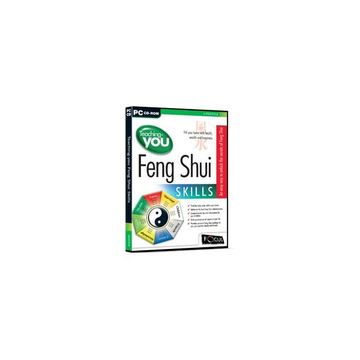 Apex Teaching-You Feng-Shui Skills, Retail Box , No Warranty On Software