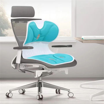 Ergonomic Back Support Chair, Back Support Office Chair- Lumbar Support for Good Posture Correction
