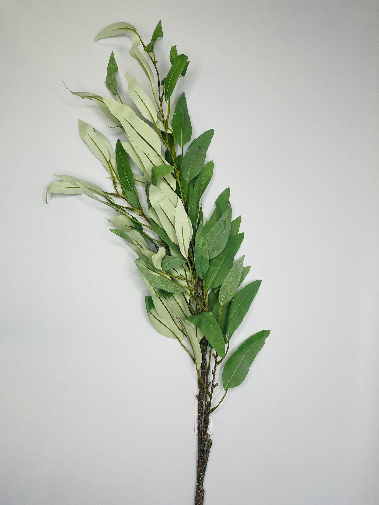 Olive Branch Stem 1.18M
