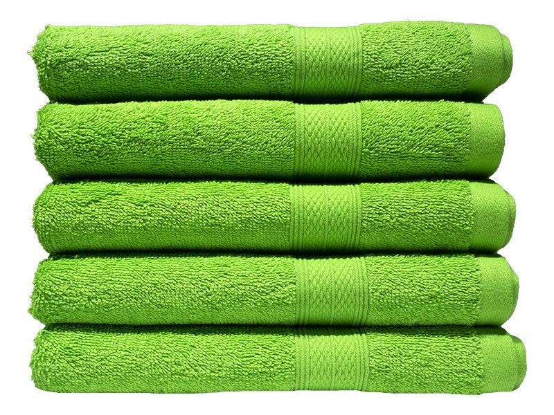 Bunty's Plush 450GSM 50x90cms Hand Towels-05 Pc Pack-Jasmine Green