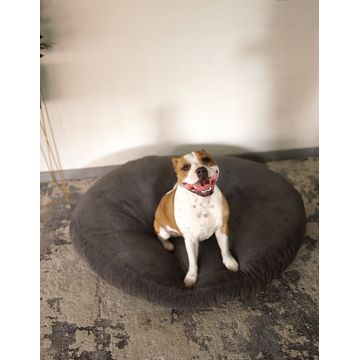 Rockies Plush Pet Bed Grey
