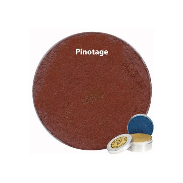 GILDERS PASTE 20g PINOTAGE
