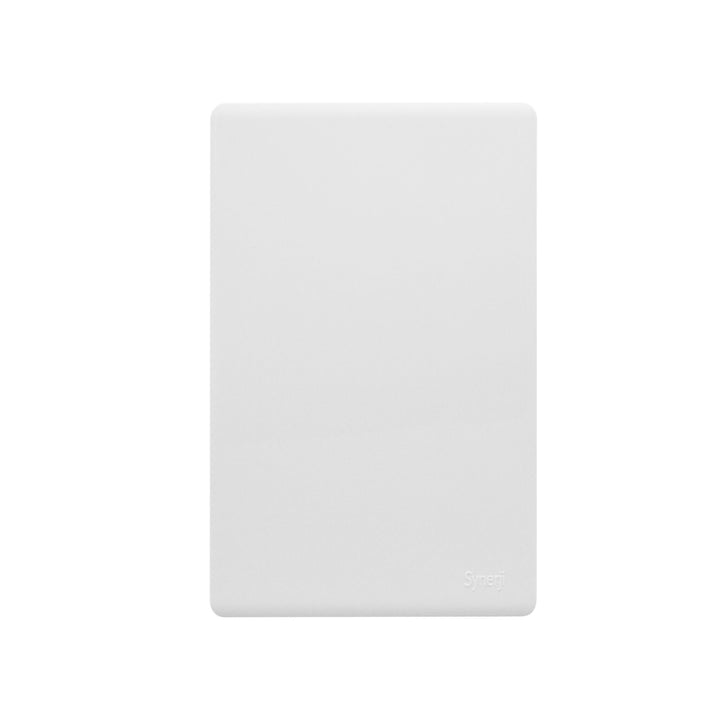 SYNERJI SHAVER SOCKET 110V/220V DECO 4X2 GR - Grey