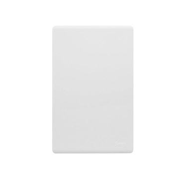 SYNERJI SHAVER SOCKET 110V/220V DECO 4X2 GR - Grey