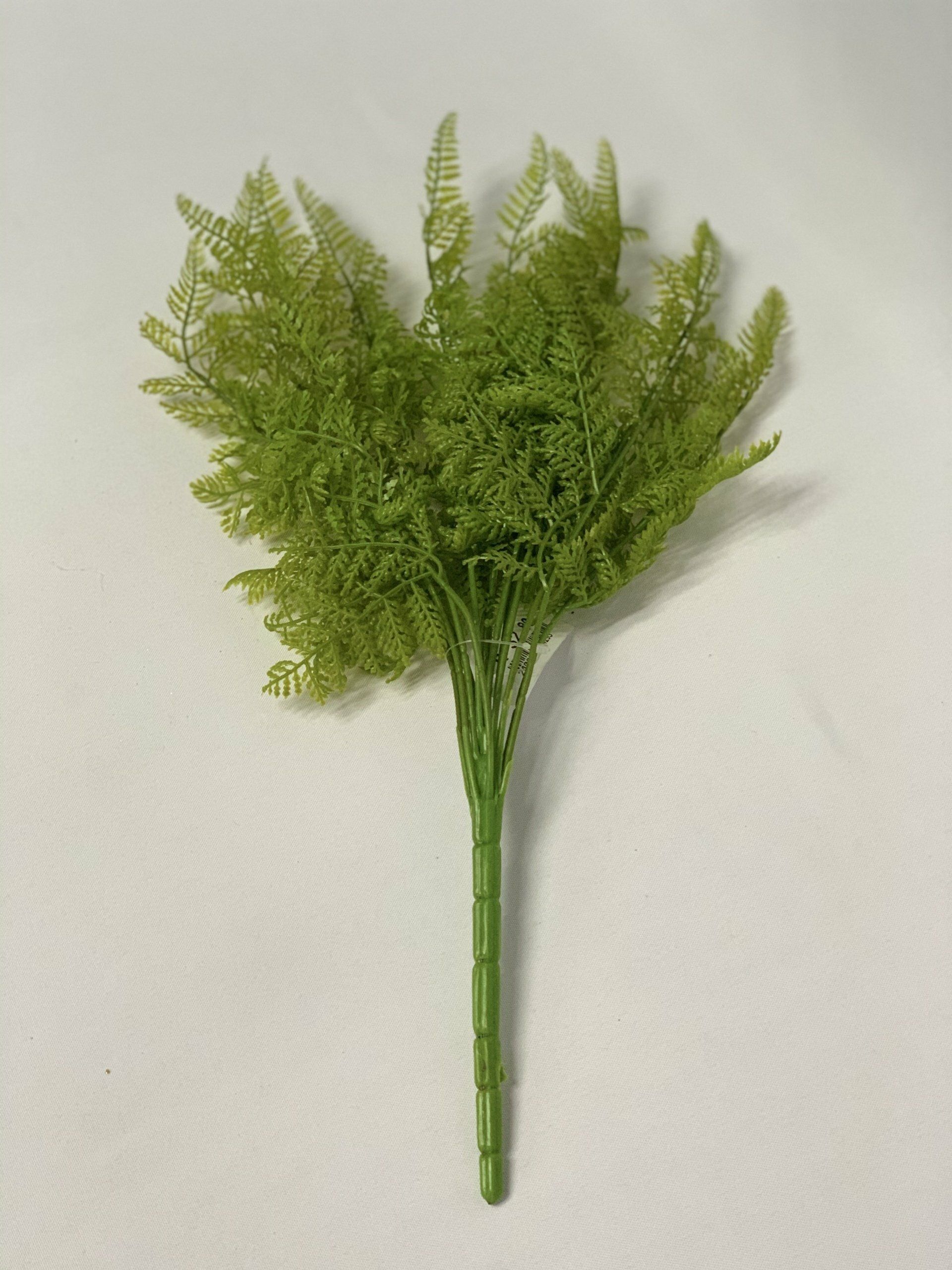 Fern Green