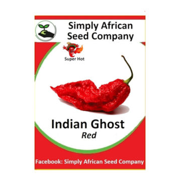 Indian Ghost Pepper Seed Packet (12's)