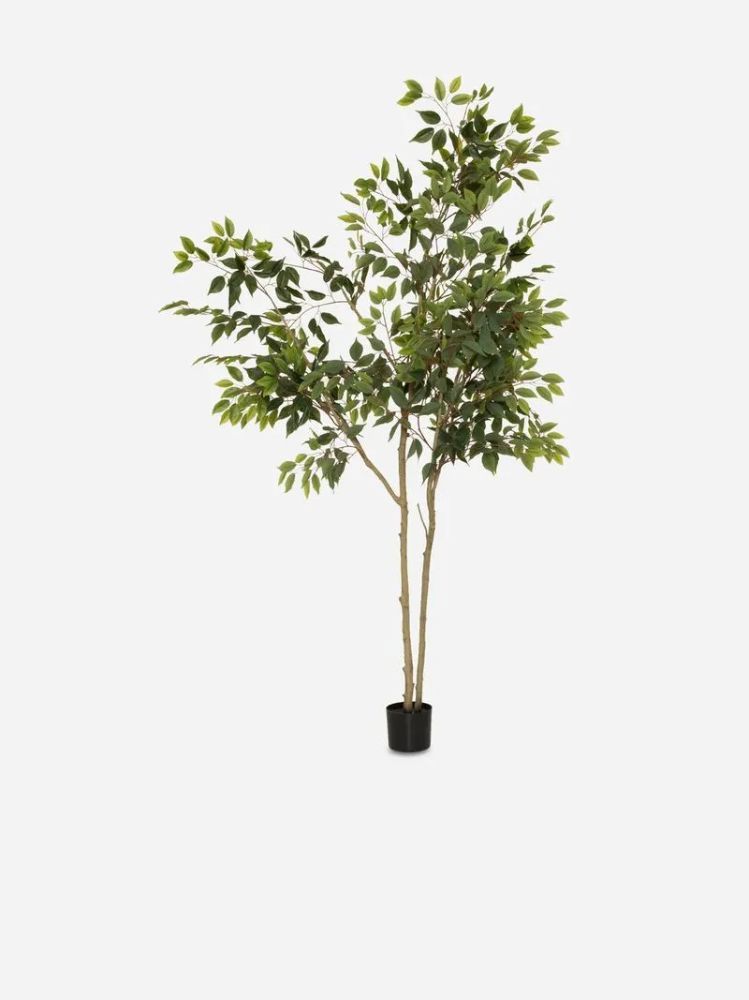 Faux Gaharu Tree 200cm – Large Artificial Indoor Tree in Pot