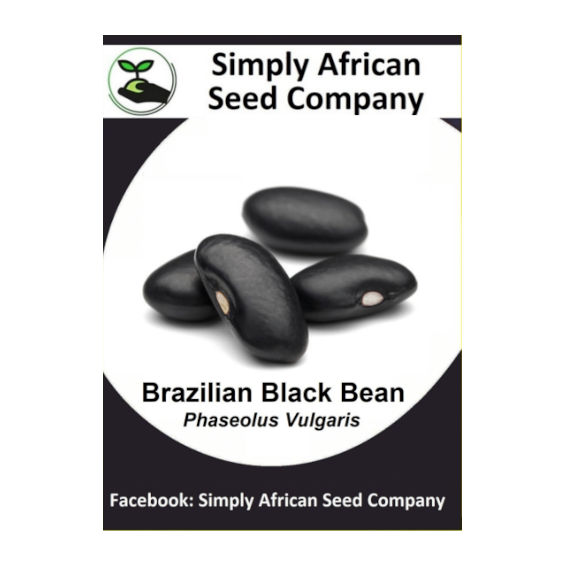 Beans Brazilian Black 15's