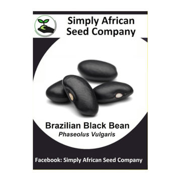 Beans Brazilian Black 15's