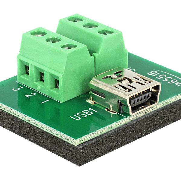 Delock Adapter Mini Usb Female - Terminal Block 6-Pin