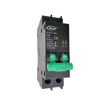 MINI RAIL 63A 2P ISOLATOR GREEN/GREEN