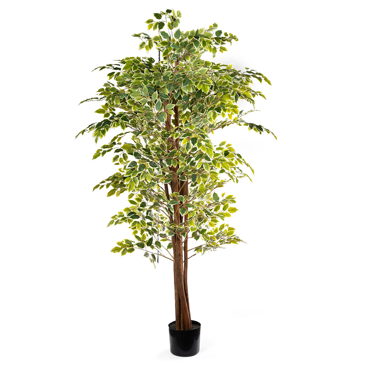 HouzeComfort Artificial Ficus Indoor and Outdoor Plant 180cm