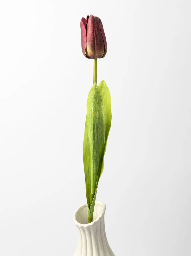 Faux Tulip Stem Burgundy 64cm – Artificial Tulip Floral Stem