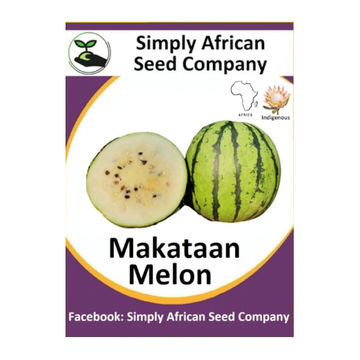 Melon Makataan 15's