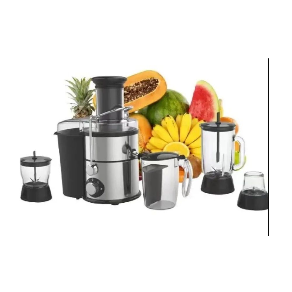 4 IN 1 JUICE BLENDER