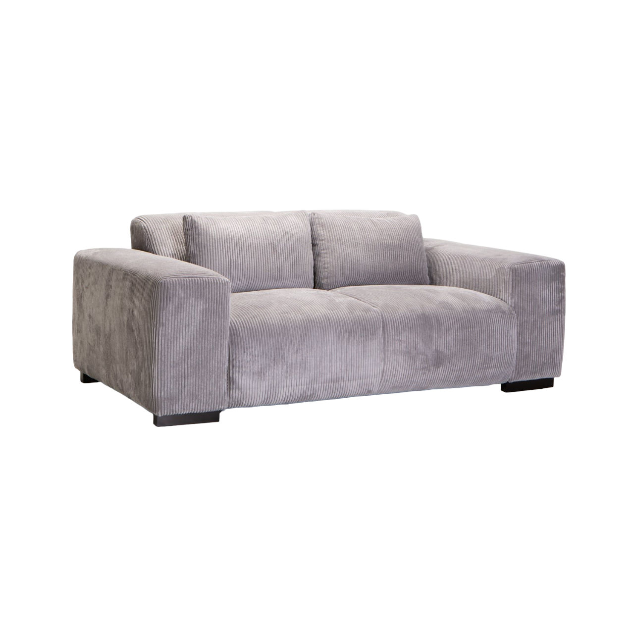 Vividitto - Steinbuck Fabric 2  Seater Couch - Grey