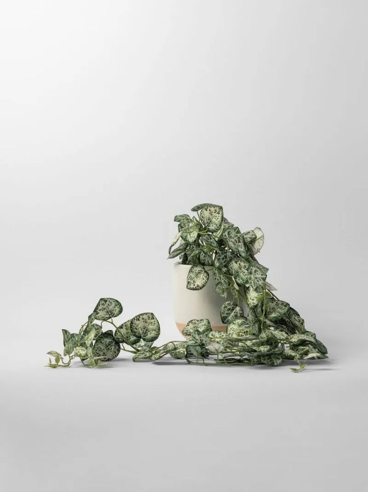 Faux Potted Golden Pothos in Ceramic Pot – Artificial Indoor Plant 71cm