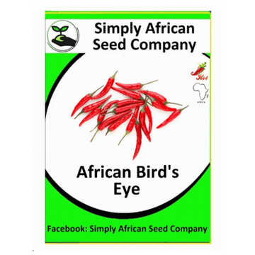 African Birds Eye Chilli Seed Packet (30's)