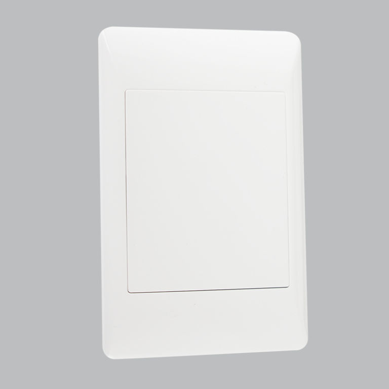 Blank Plate 2 X 4