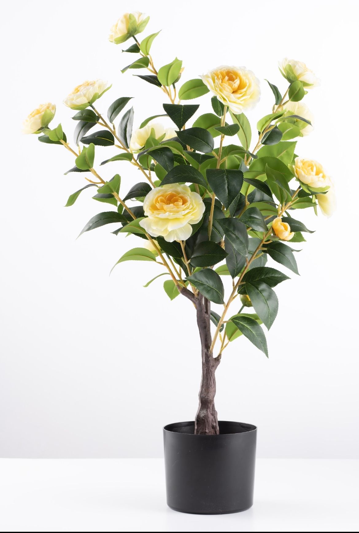 Artificial Premium Camelia Plant - 800mm