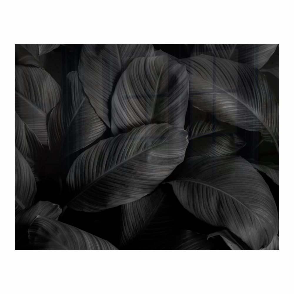 Decorative Glass Wall Tile (898 X 700 X 6mm) Feathers