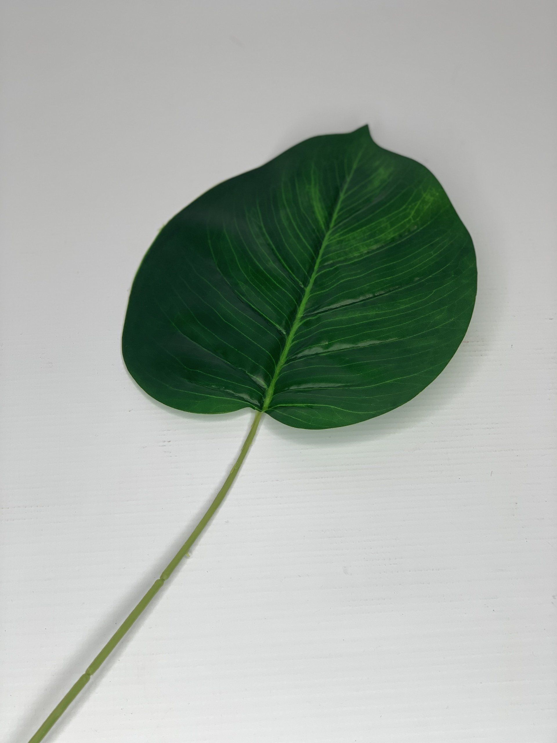 Monsteria Leaf 60Cm