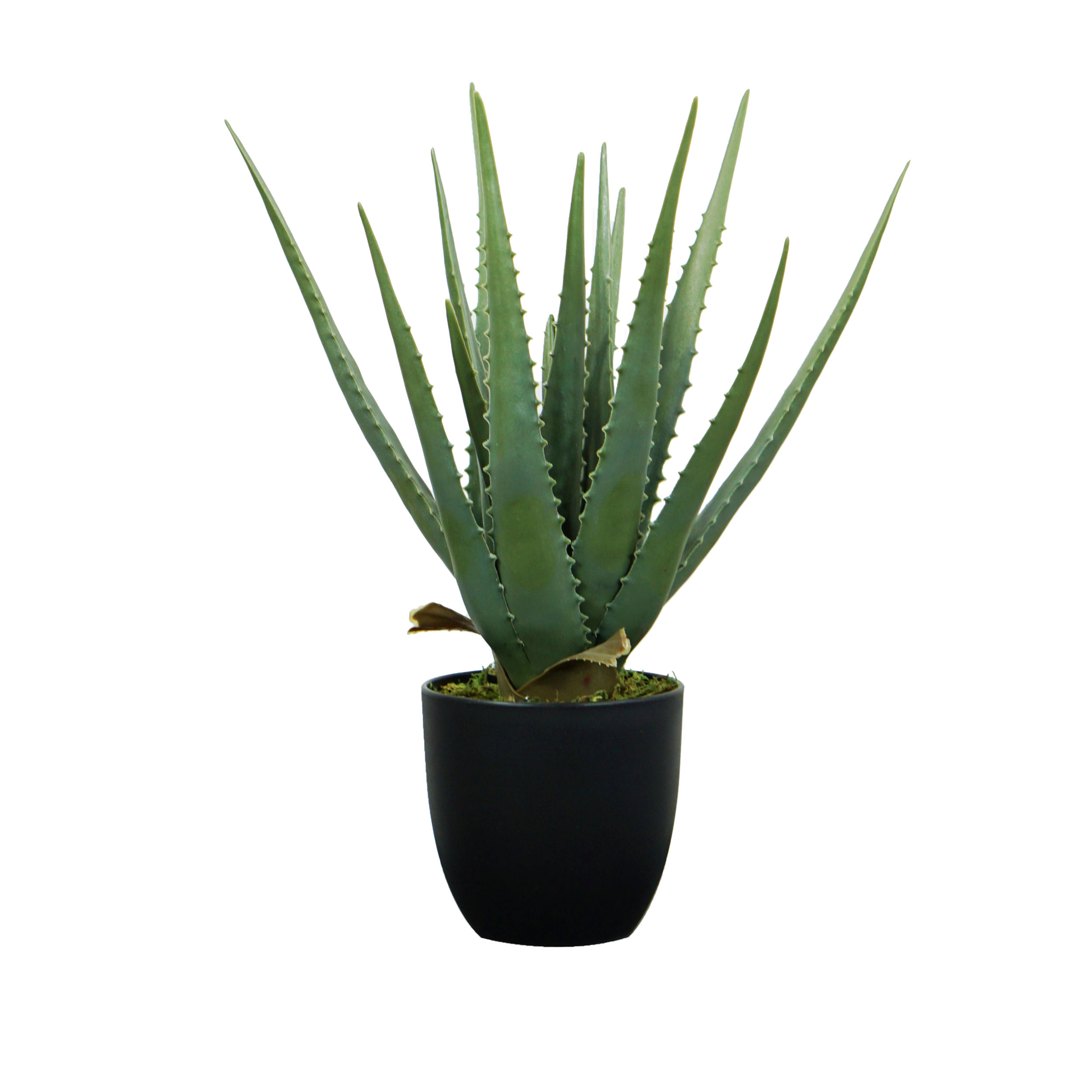 HouzeComfort Aloe Succulent Artificial Plant 46cm
