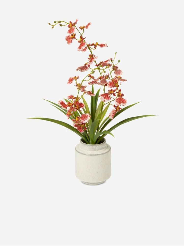 Ficonstone Grey Planter on Acacia Wood Stand – Indoor Planter