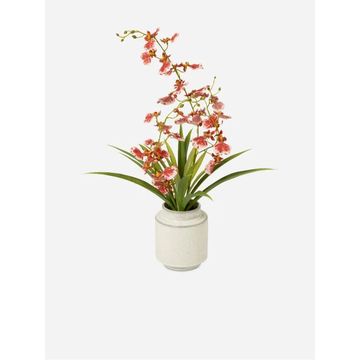 Ficonstone Grey Planter on Acacia Wood Stand – Indoor Planter