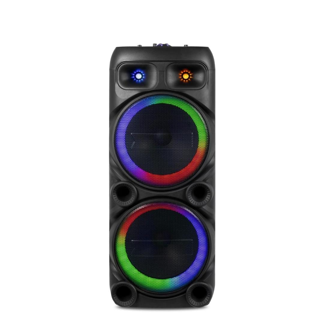 Ecco MV9153 Dual 12 Inch Professional Karaoke Speaker