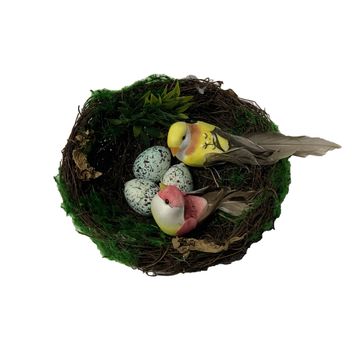 Birds Nest
