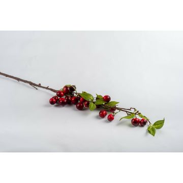 Mini Cherries 98Cm Stem