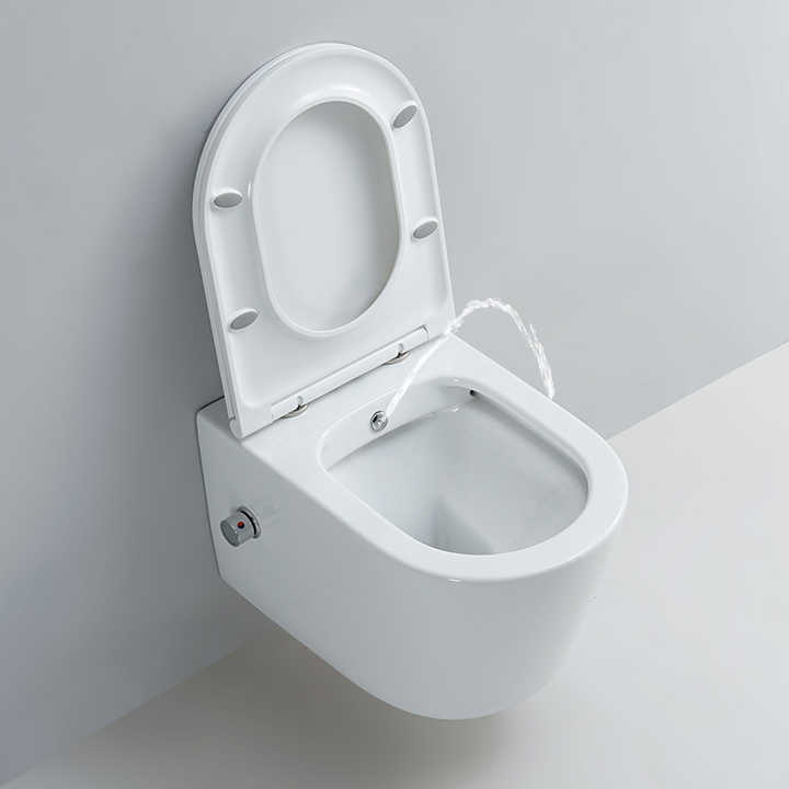 Lucile Wall Hung BIDET Toilet White
