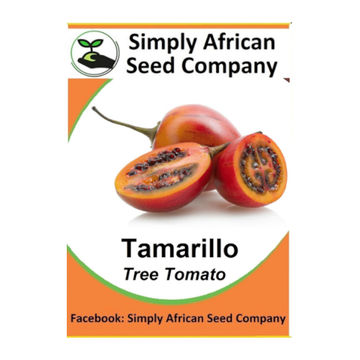 Tamarillo Tree Tomato (6's)