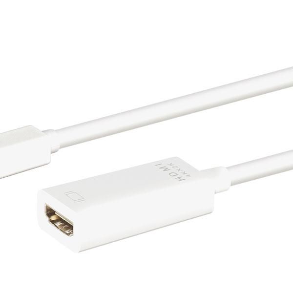 Linkqnet 4K Mini Displayport Male To Hdmi Female Converter