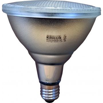 LED Par 38 15w 60°e27 6000k (daylight) Ip65 Globe