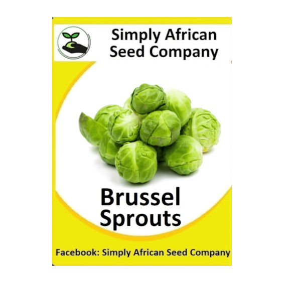 Brussel Sprouts Long Island 30's