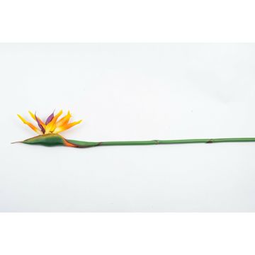 Yellow Strelitzia 104Cm